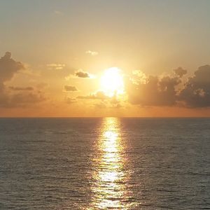 Meet your Posher, Miriam